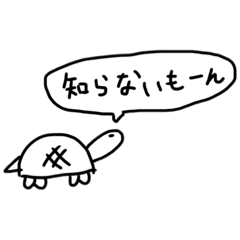 バカそうなかめさん