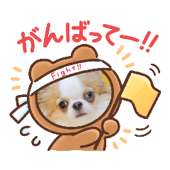 わるちわ　ふぁみり～♪♪