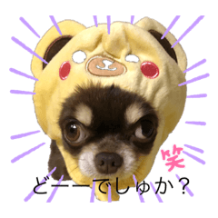 ゆかいな仲間たち　犬