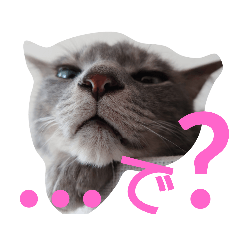 ミカエルちゃんとラファエル君