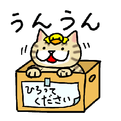 カワイイくるみねこ