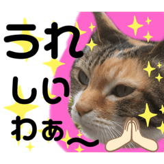 ねこハッピースタンプ