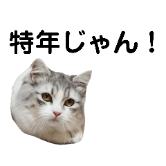 ウルが思ったこと(現行硬貨が気になる)