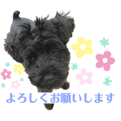 ブルーナとちゅら