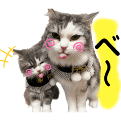 ソイラテ兄弟☺︎