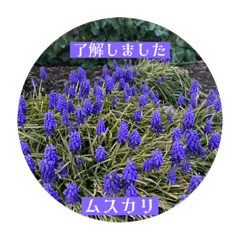 花は心へ贈り物　花スタンプ