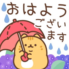 まんまるねこさんの飛び出す梅雨スタンプ