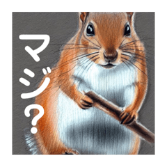 リスさんのAIスタンプ 4