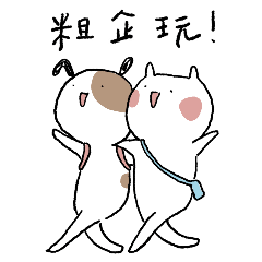 Affi and Taro - Daily life