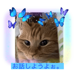 ミクのあいさつ