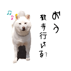 鳥越家の末っ子