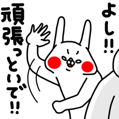 全力うさぎお母さんは心配性編