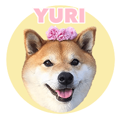 柴犬ゆり氏の日常めっちゃ使えるスタンプ