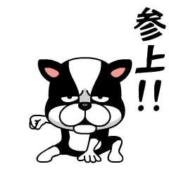 飛び出す！いきりわんこ。