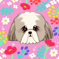 【シーズー Ⅲ】動く！ペットたち