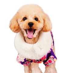 カネツグちゃんの可愛いスタンプです。