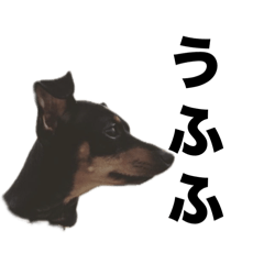 骨伝導カツ尾ブーシー2