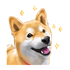 うちのまろです