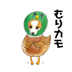 かわいすぎるわんこ達25