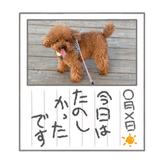 のあのあわんわんver.2