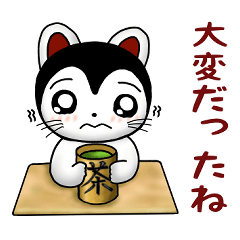 こまの喜怒哀楽ベスト40選