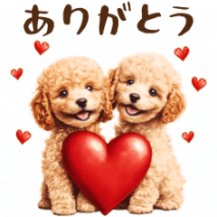 動く♡トイプーの気持ちを伝えるスタンプ