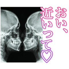 BIG!  ずっと使えるレントゲン