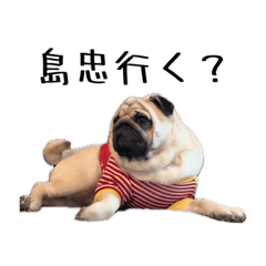 パグのむさし日常スタンプ