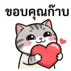 Chubby Shorthair: Pale Pastel Daily