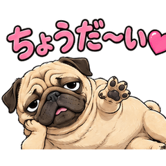 うちのパグ好きでしょ？