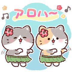ふんわりにゃんこの夏