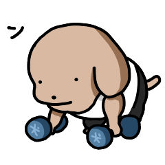 こいぬと運動