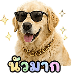 Cute Golden Retriever V.8