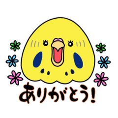 にぎやかセキセイインコ