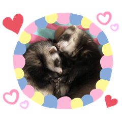 いたちなあたち、ボク。Ⅱ