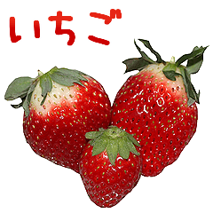 実写！いちご