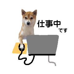 柴犬 すたんぷ part2