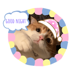 モモとレオの日常スタンプ