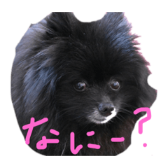 くろぽめオレオ