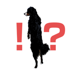 バーニーイラスト