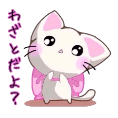 甘えん坊にゃんこ