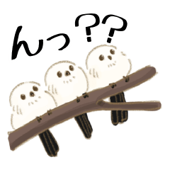 世界の鳥さんスタンプ