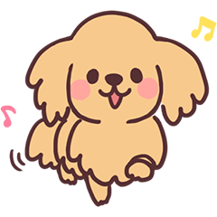 のびのびミニチュアダックス