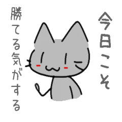 勝負をかけるねこ