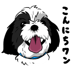 パンちゃんだよ！