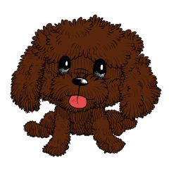 ちょこちょこショコラ