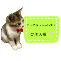 カムくん　日常