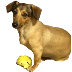 ぷりてぃナッツ