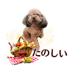 そら豆くん たのしい