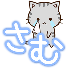 おちゃめなアメショ【雪文字】